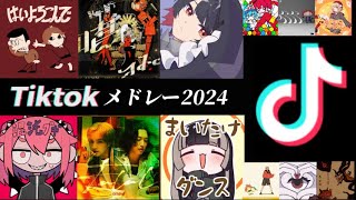 【TikTok】2024年に流行った曲メドレー [upl. by Wylen139]