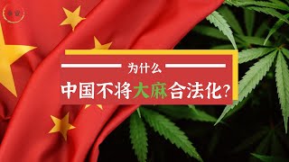 为什么中国不将大麻合法化？ [upl. by Michella]