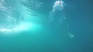 Underwater Downrigger Cam Camera Footage  See Salmon Stike at Lure meat rig 2013 [upl. by Dorothy514]