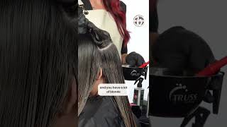 Blonde vs Brunette Color Melt Sectioning Hacks [upl. by Hume]