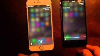 Male and female Siri talking to each other [upl. by Gary]