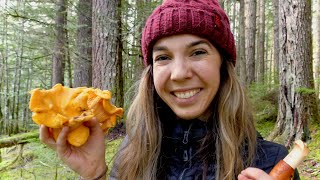 Wild Chanterelle Mushroom Hunting  The Best Way to Cook Chanterelles  Foraging in the PNW [upl. by Arbmat125]