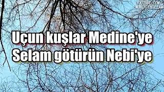 Uçun kuşlar medineye selam götürün hediye  ilahisi [upl. by Eimrej]