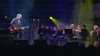 Neil Finn  One Step Ahead live with strings Auckland 2015 [upl. by Letizia]