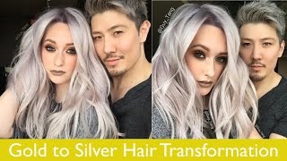 Gold to Silver Hair Transformation [upl. by Felicio608]