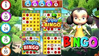 Bingo Play  Bingo Offline Fun [upl. by Ericha]