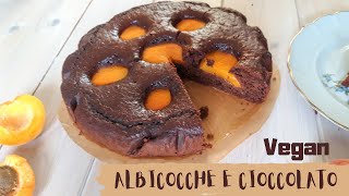 TORTA ALBICOCCHE E CIOCCOLATO super morbida  vegan [upl. by Flaherty465]