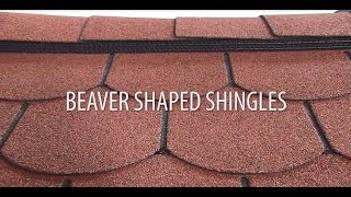 Installing beaver shaped roof shingles [upl. by Lienhard]