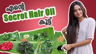 എന്റെ Secret Hair Oil കൂട്ട്  Meenakshi Anoop [upl. by Kendricks]