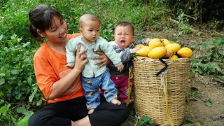 Single mom Harvesting le ki ma fruit goes market sell to sell Make a chicken coop Single life [upl. by Demahum]