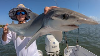 World RECORD Bonnethead Shark Catch Clean Cook Sebastian Inlet Florida [upl. by Htrap]