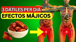 ¡3 Dátiles al Día y Tu Cuerpo CAMBIA PARA SIEMPRE Beneficios que NO CONOCÍAS [upl. by Chiquia]