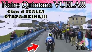 Nairo Quintana🇨🇴🚀VUELA ETAPA REINA💪🏽🏆Giro de Italia 2024👉🏽 DECLARACIONES [upl. by Yelnik]