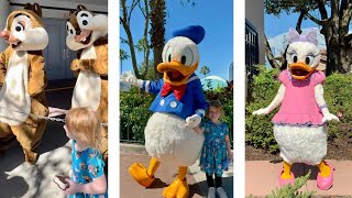 Donald Daisy Chip and Dale at Hollywood Studios [upl. by Arreis]