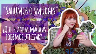 Crea Tus Propios Sahumerios Mágicos Rituales y Hierbas Poderosas para Purificar Tu Hogar ✨🔥 [upl. by Renelle]