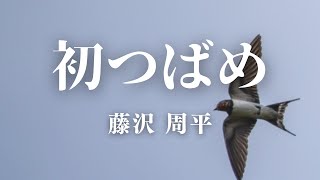 【朗読】『初つばめ』 藤沢 周平作 [upl. by Niwrud]