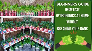 Grow EASY Hydroponics At Home BEGINNERS GUIDE No Pump No Power Kratky Method [upl. by Griff]