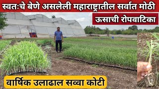 स्वतःचे बेणे असलेली महाराष्ट्रातील सर्वात मोठी ऊसाची रोपवाटिका  Sugarcane nursery business [upl. by Rim]