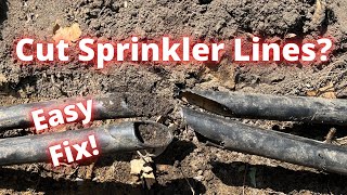 How to fix a cut sprinkler line [upl. by Mani]