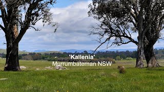 Kallenia Murrumbateman NSW [upl. by Enylhsa]