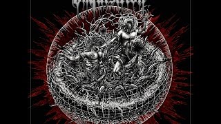 Inquisition  Bloodshed Across The Empyrean Altar Beyond The Celestial Zenith Full Album HD [upl. by Anahsahs]