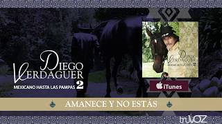 Diego Verdaguer  Amanece Y No Estás Audio Oficial [upl. by Eanel]