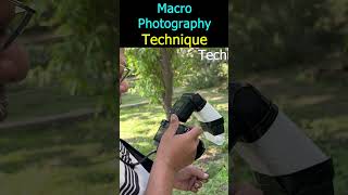 Macro Photography Technique shorts [upl. by Neeloc]