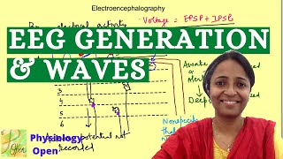 Electroencephalography  EEG waves  CNS Physiology mbbs 1st year lecture [upl. by Demitria]