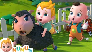 Baa Baa Black Sheep Song  Nursery Rhymes amp Kids Songs  NuNu Tv Baby Songs [upl. by Eelahs]