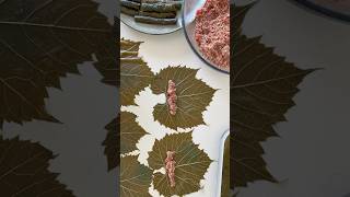 Wrap Vine Leaves with me lebanesefood [upl. by Dorolice]