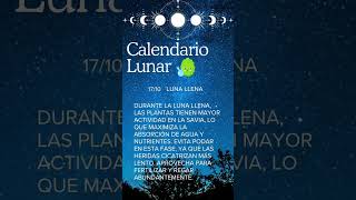 Calendario lunar de octubre 2024 [upl. by Adelheid109]