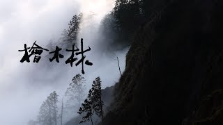 【森林運動】檜木林森林保育運動我們的島 第1032集 20191202 [upl. by Selrac]