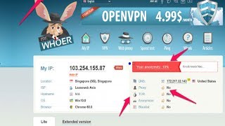 How secure and anonymous are you if you use a VPN [upl. by Adnole]