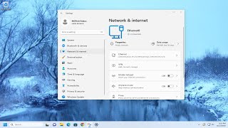 Fix Internet Connectivity Problems In Windows 11 Solution [upl. by Hegarty]