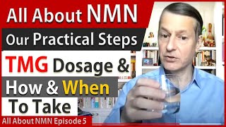 All About NMN Ep5  TMG Dosage amp How amp When To Take  Our Practical Steps [upl. by Felisha]