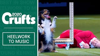 Heelwork To Music  Freestyle International Winner at Crufts 2020 [upl. by Mateya469]