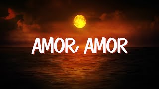 Amor Amor  Corito Adventista Letra [upl. by Ahsiekram]