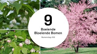 Bloeiende Bomen  Bomenvlog 16 [upl. by Aramenta]