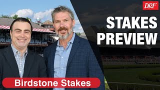 Birdstone Stakes Preview 2023 [upl. by Aihtiekal]