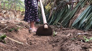 Los primeros brotes de mi plantitas para mi huerto🌿🌿haciendo los surco para plantar motivación [upl. by Navanod447]