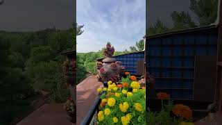 TOURING HOUSE ON THE ROCK in Spring Green WI PT 2 [upl. by Charry]