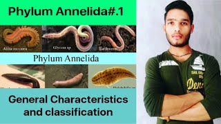 General Characteristics and classification of phylum Annelida [upl. by Ahtela]