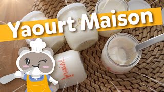 Secrets pour des yaourts maison parfaits [upl. by Sylvan]