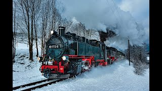 Fichtelbergbahn Viadukt Oberwiesenthal im Schnee [upl. by Alvera978]