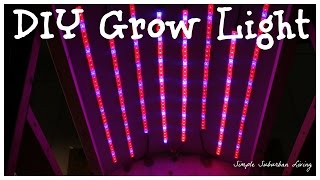 DIY 35 LED Grow Light [upl. by Aihcrop]