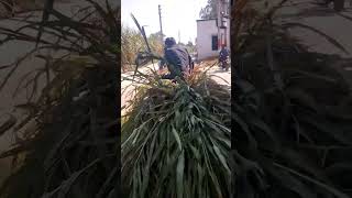 MOTA BHAI GALAT JAGAH BAITH GAYA🤣 funnymasti funnymoment whatssofunny funniestvideo funnyshorts [upl. by Ajan]