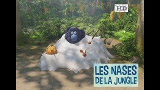 LES AS DE LA JUNGLE  LES NASES DE LA JUNGLE HD [upl. by Akenn]