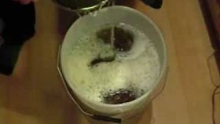 How to Brew Beer or Lager at Home from a Kit [upl. by Akinak]