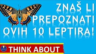 Vrste leptira Znaš li ih prepoznati [upl. by Alimak]