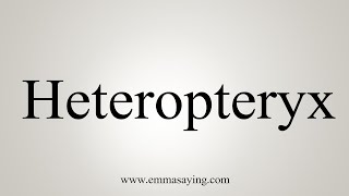 How To Say Heteropteryx [upl. by Earaj]